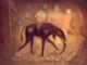 Expedition of Dr. RamsbottomLeonora Carrington