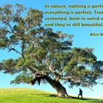 Alice Walker 2021 0814