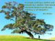 Alice Walker 2021 0814