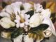 Frida Kahlo - Magnolias