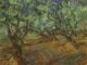 Vincent Van Gogh Vincent Van Gogh